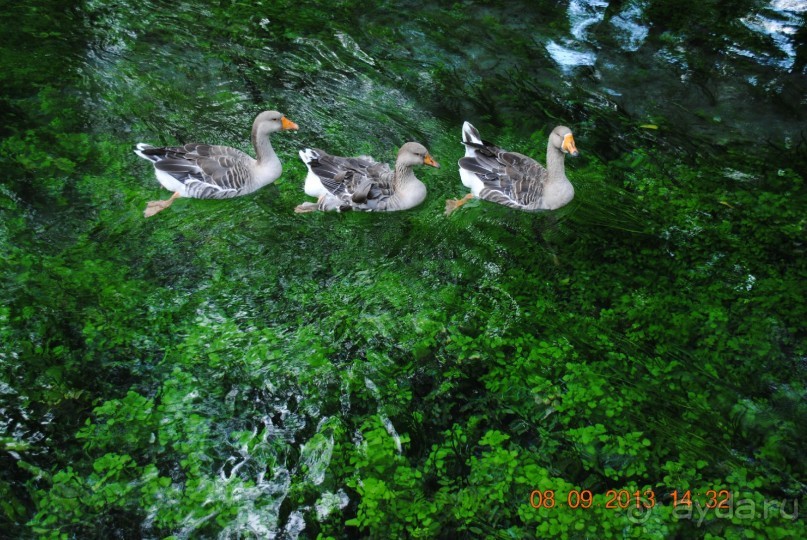 Нормальный семейный  отдых.