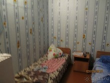 фото Соловей