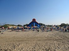 фото Соловей