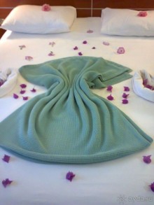 фото Flamingo Suites