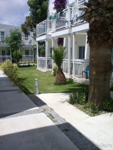 фото Flamingo Suites