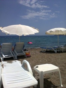 фото Flamingo Suites