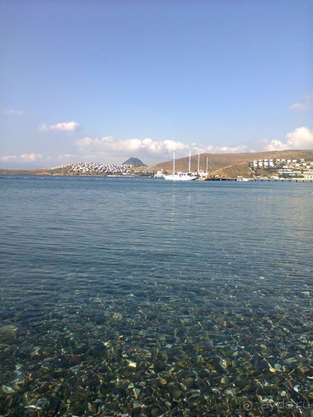 фото Flamingo Suites