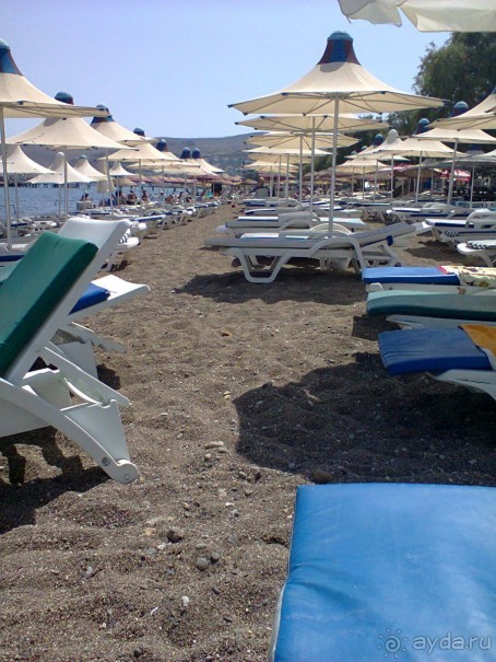 фото Flamingo Suites