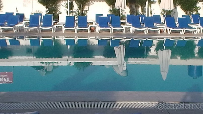 фото Flamingo Suites