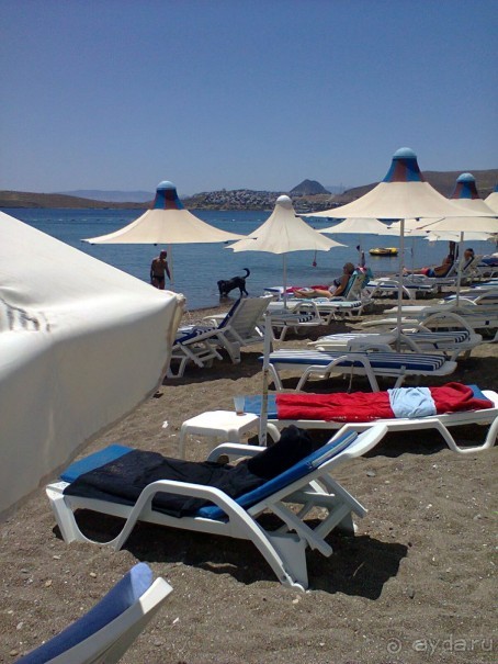 фото Flamingo Suites