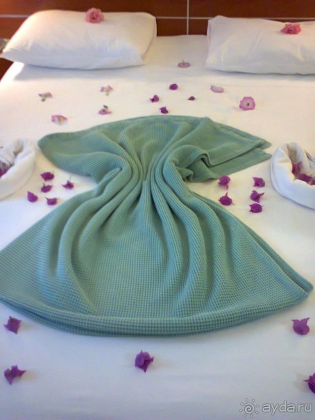 фото Flamingo Suites