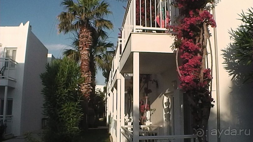 фото Flamingo Suites