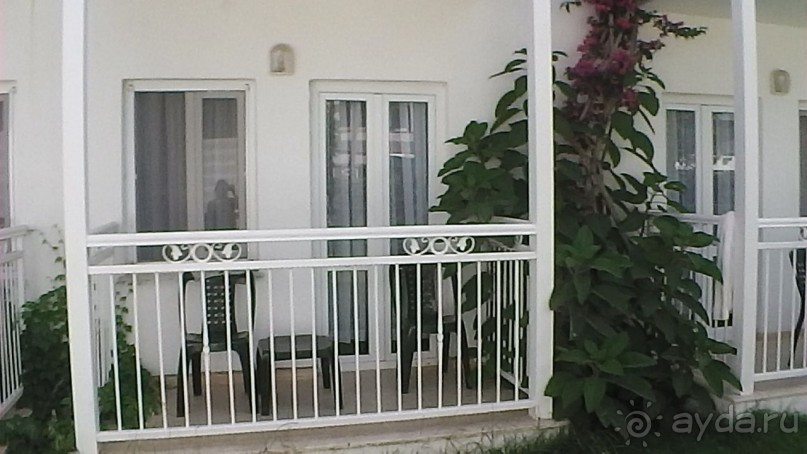 фото Flamingo Suites