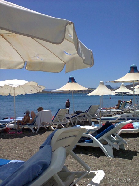 фото Flamingo Suites