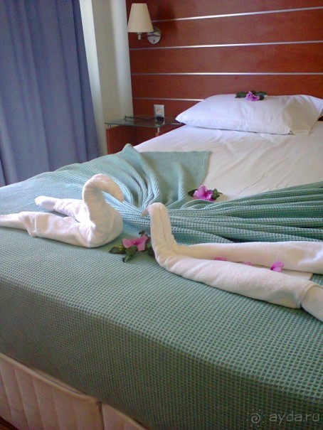 фото Flamingo Suites