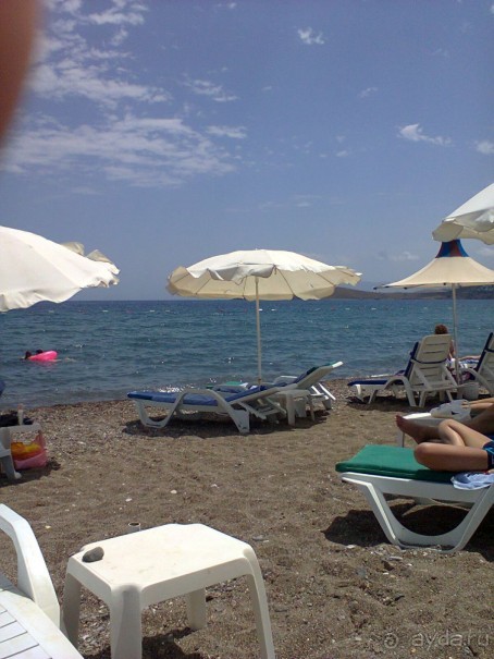 фото Flamingo Suites