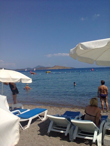 фото Flamingo Suites