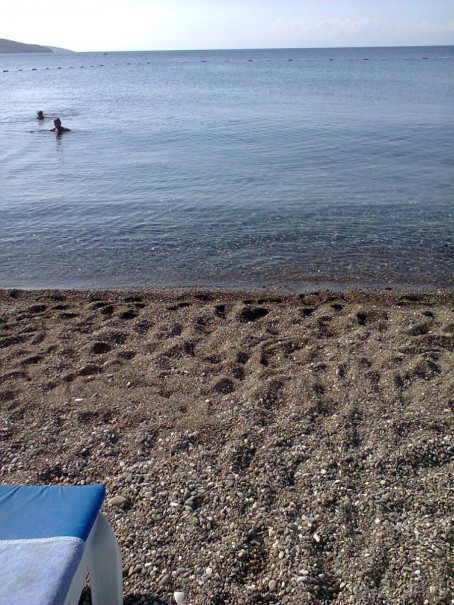 фото Flamingo Suites