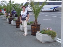 Очень понравилось