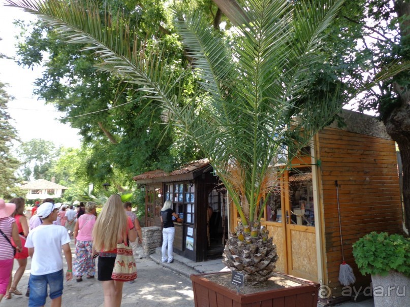 Очень понравилось