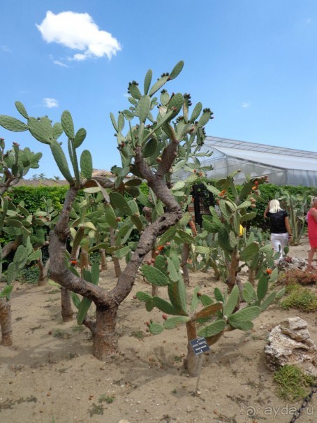 Очень понравилось