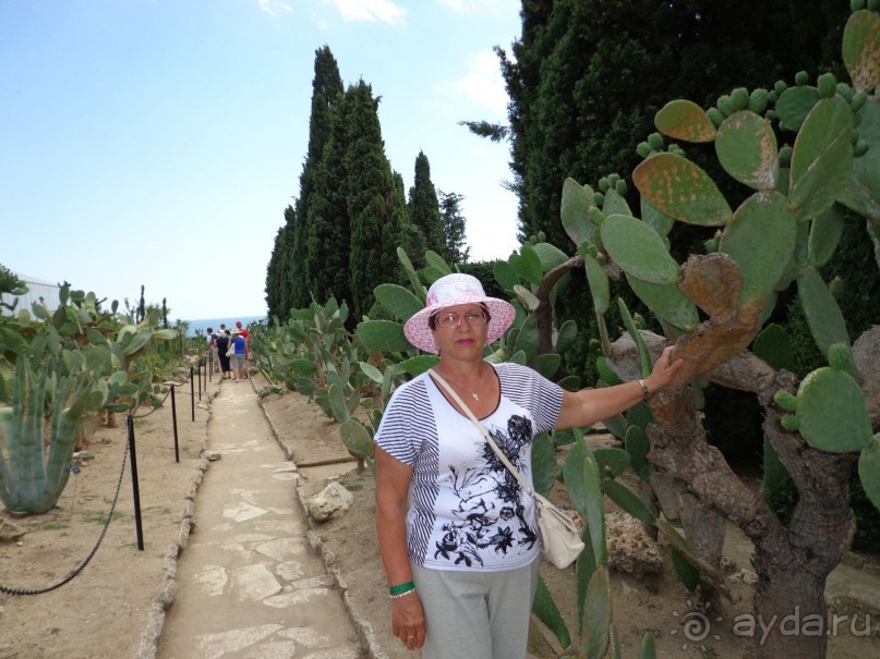 Очень понравилось