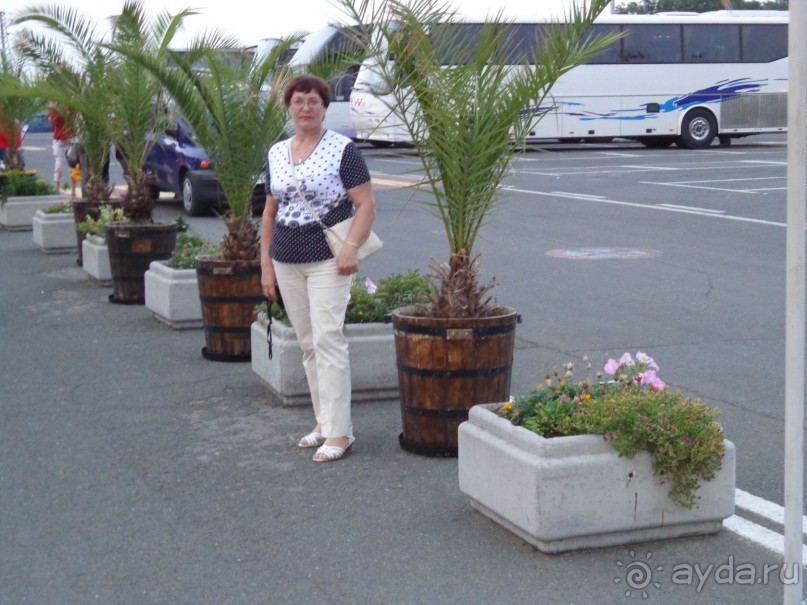 Очень понравилось