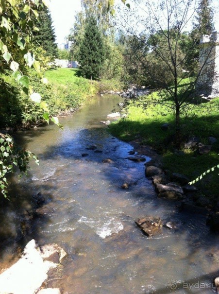 Отличный сервис!