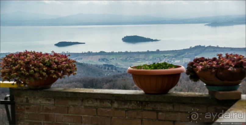 Альбом отзыва "Итальянская провинция"