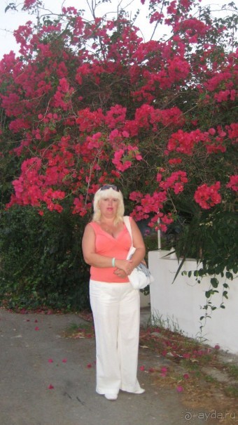 живописное место