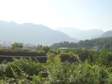 больше чем ожидали...