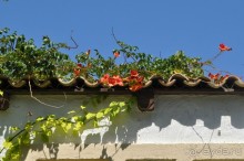фото Aldemar Cretan Village
