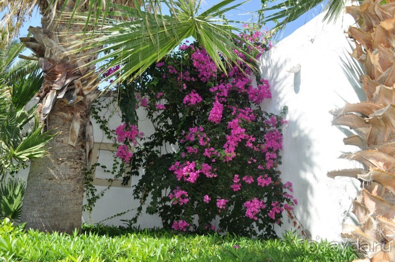 фото Aldemar Cretan Village