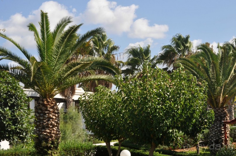 ЗАМЕЧАТЕЛЬНЫЙ НЕЗАБЫВАЕМЫ ОТДЫХ НА ЭГЕЙСКОМ МОРЕ