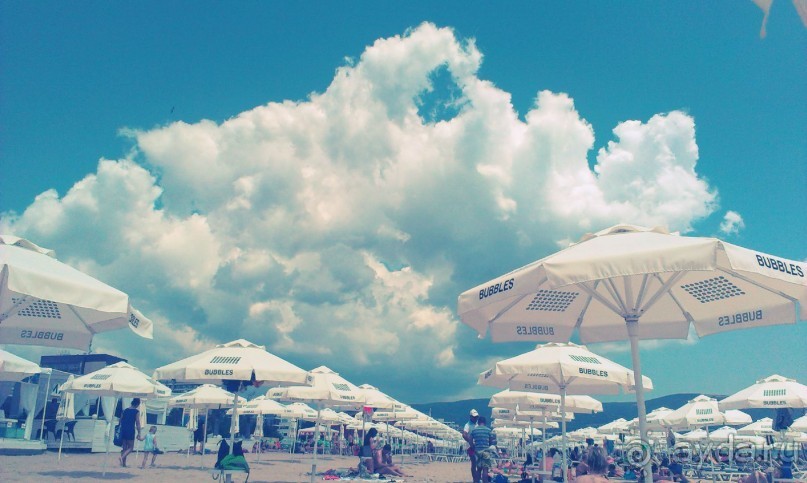 фото Калина Гарден