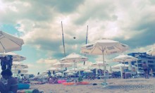 фото Калина Гарден