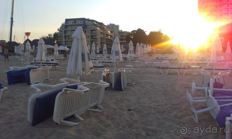 фото Калина Гарден