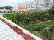 Красотища!!!