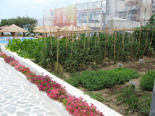 фото Botanik Hotel & Resort