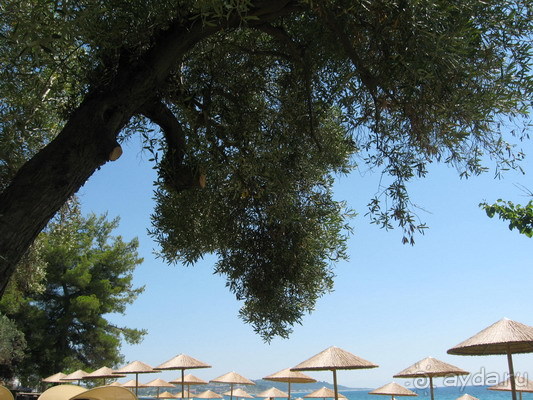 фото Botanik Hotel & Resort