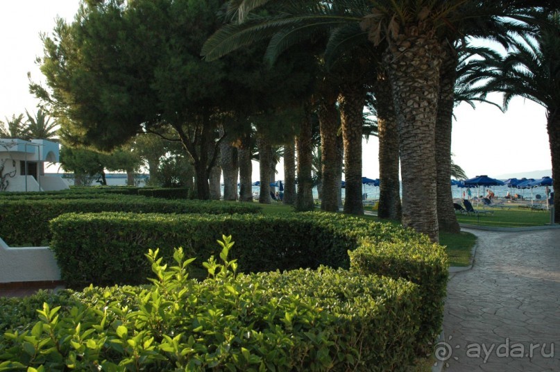 Территория отеля.