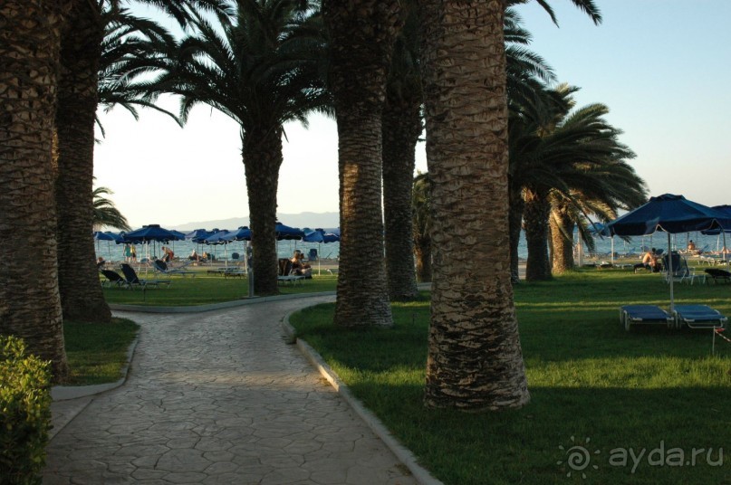 территория отеля.