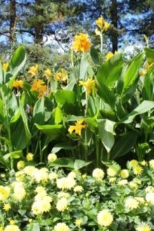 Финляндия. Страна Тысячи озер. Регион Турку и город Наантали