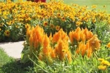 Финляндия. Страна Тысячи озер. Регион Турку и город Наантали