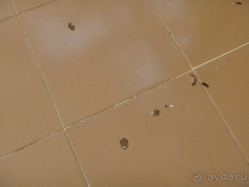 Плохой отель - плохой отдых