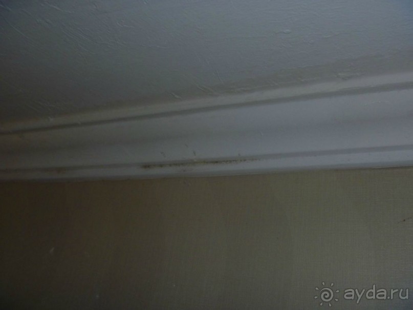 Плохой отель - плохой отдых