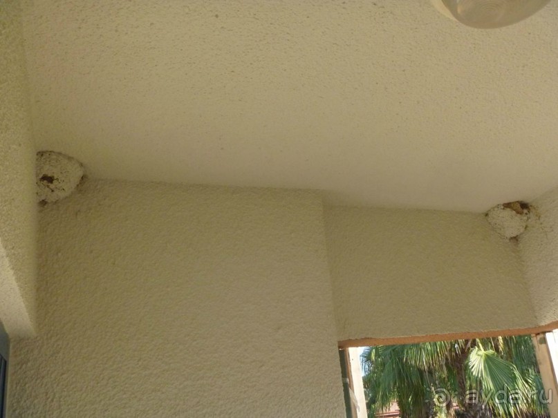 Плохой отель - плохой отдых