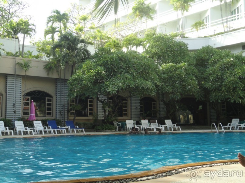 все не плохо, только блохи