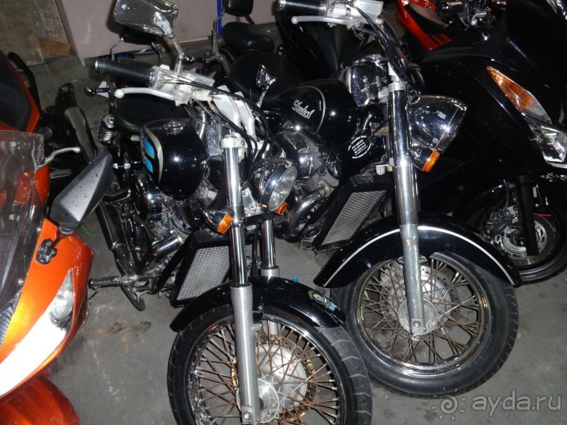 фото Royal Twins Palace