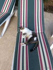 Отдельное спасибо аниматору Рустаму Бабаеву