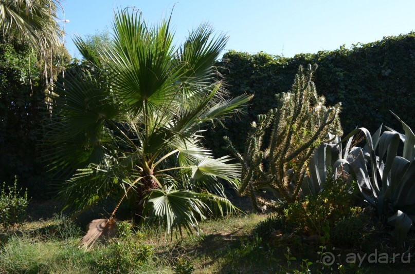 Отель УЖАСНЫЙ!!!!!!!!!!!!