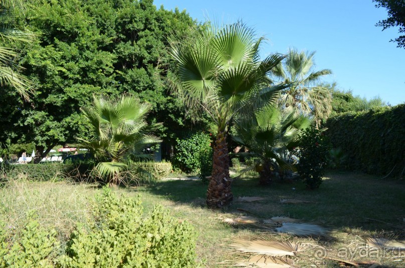 Отель УЖАСНЫЙ!!!!!!!!!!!!