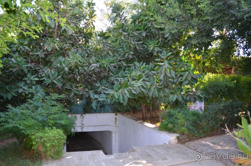 Отель УЖАСНЫЙ!!!!!!!!!!!!