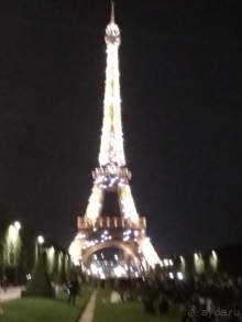 фото Виллы Олива